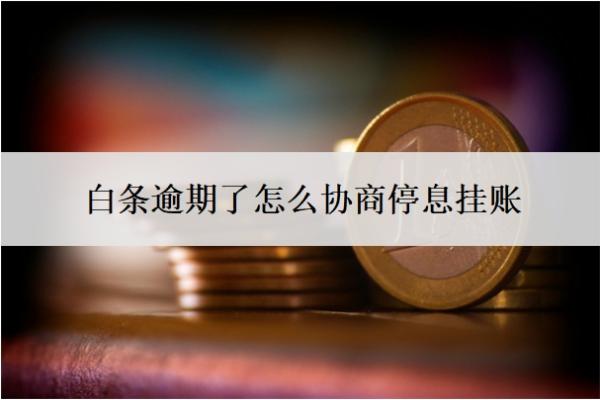 白条逾期了怎么协商停息挂账