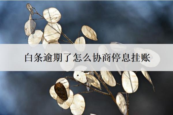 白条逾期了怎么协商停息挂账