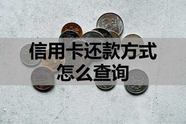 信用卡还款方式怎么查询？可以分期还款吗？